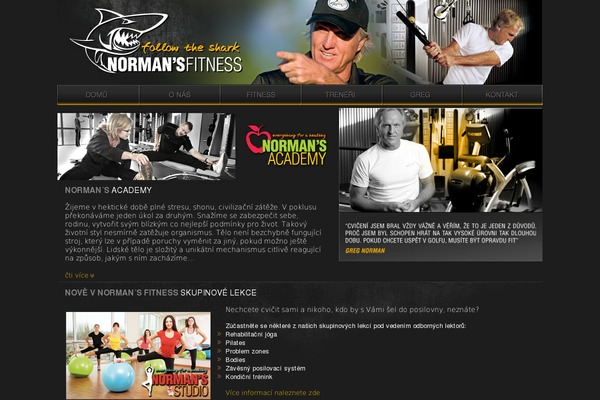 Viral Mag theme site design template sample
