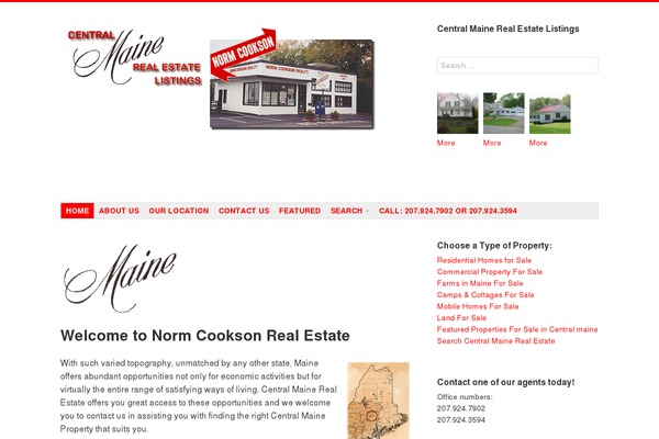 Debut theme site design template sample