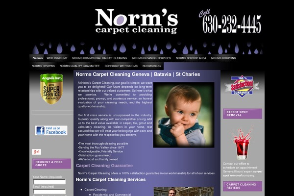 Flexx Theme theme site design template sample