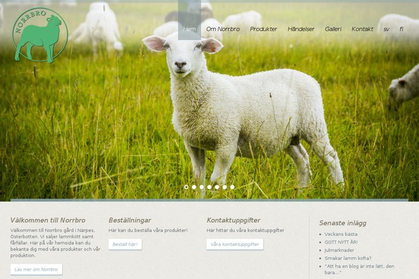 White Rock theme site design template sample