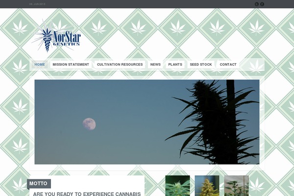 Yoo_chester_wp theme site design template sample