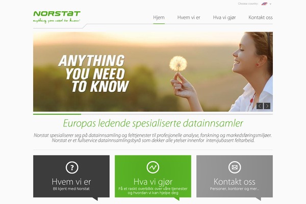 norstat theme websites examples