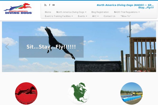 Site using Easy PayPal Custom Fields plugin