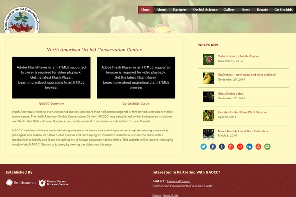 Scrollider theme site design template sample