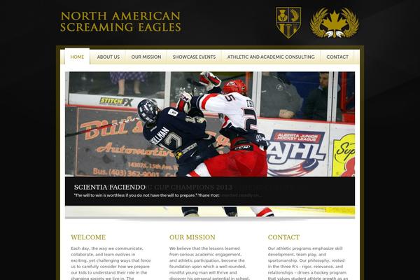 Medica theme site design template sample