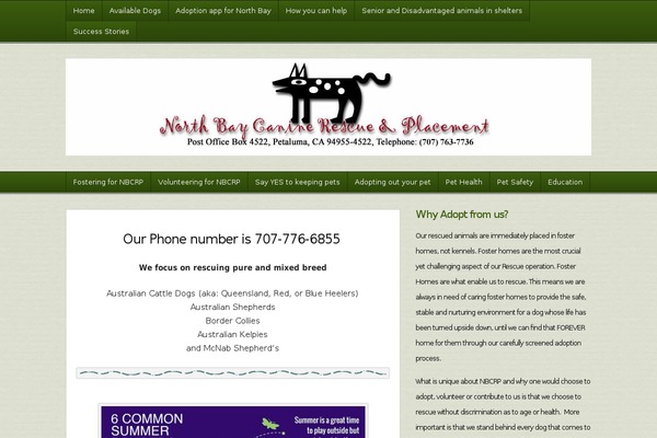 northbaycanine.org site used Builderchild-expansion