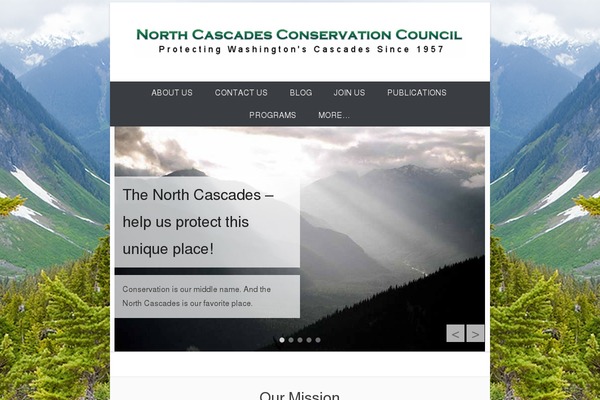 Catch Everest theme site design template sample