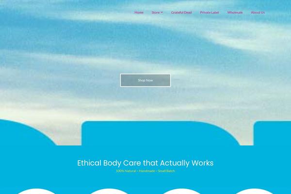 Site using Ecwid Shopping Cart plugin