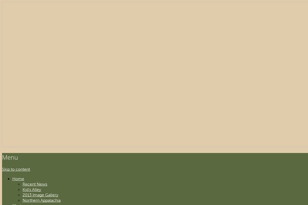 Site using Custom-fonts plugin
