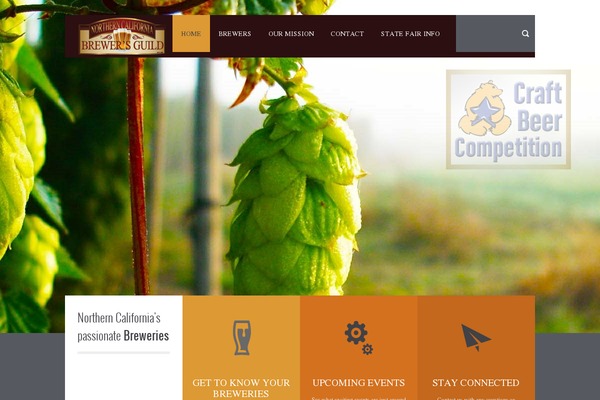 Site using Font Awesome More Icons plugin