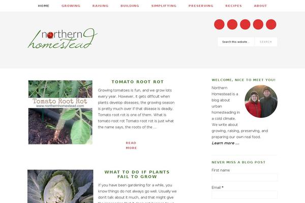 Site using Google Analytics Dashboard By Analytify plugin