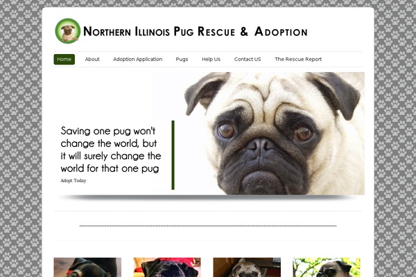 ColorWay theme site design template sample