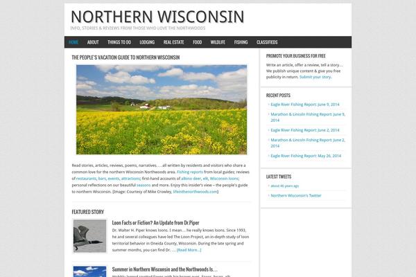 News theme site design template sample