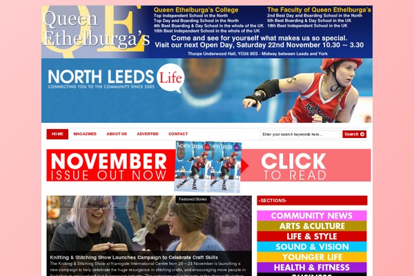 Site using Ad King Pro plugin
