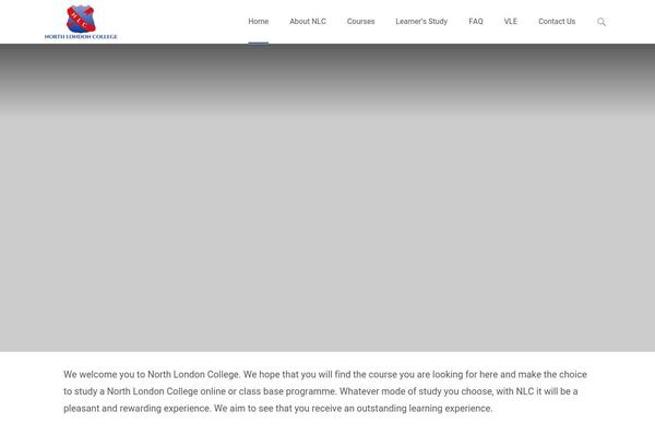 Site using Elementskit-lite plugin