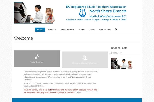 Virtue Premium theme site design template sample