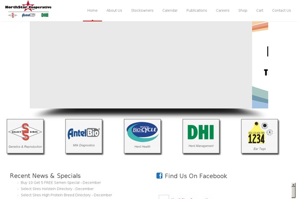 Astrum theme site design template sample