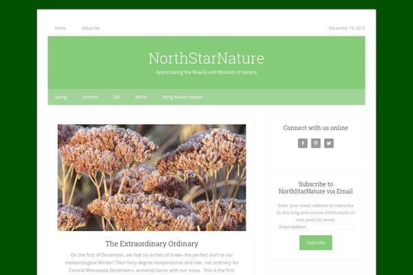 Lifestyle Pro theme site design template sample
