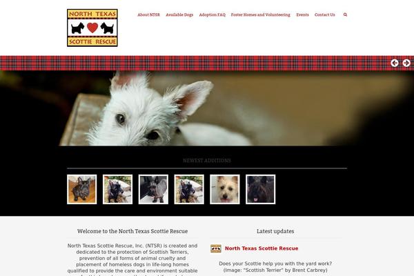 Rescue theme site design template sample