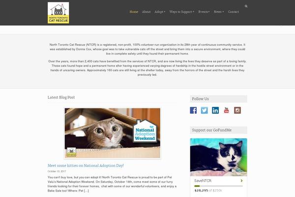 Rescue theme site design template sample