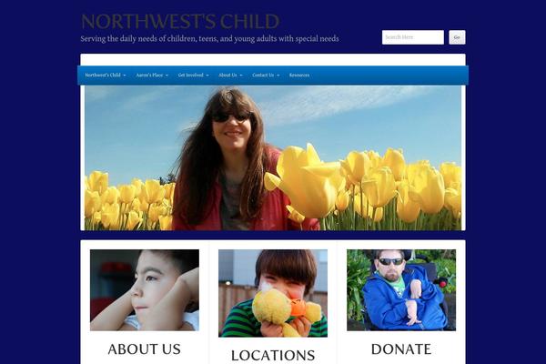 rttheme14Update theme websites examples