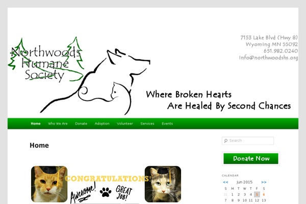 Twentyelevenchild theme site design template sample