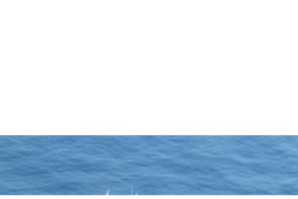 Site using Templately plugin