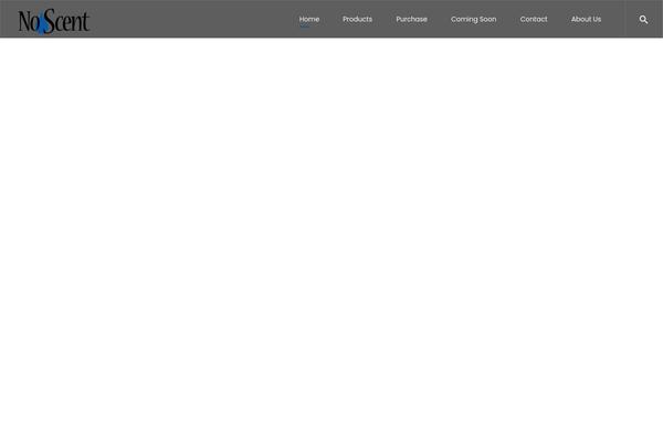 Noor theme site design template sample