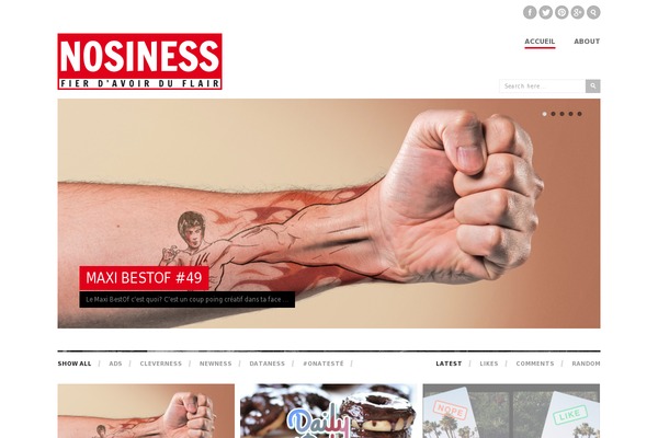 Site using Instagram Followers Widget plugin