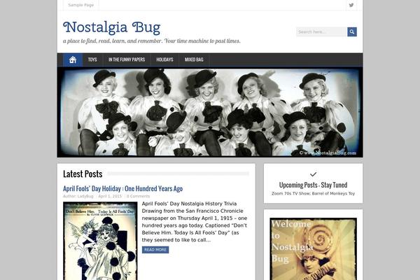 Bam theme site design template sample