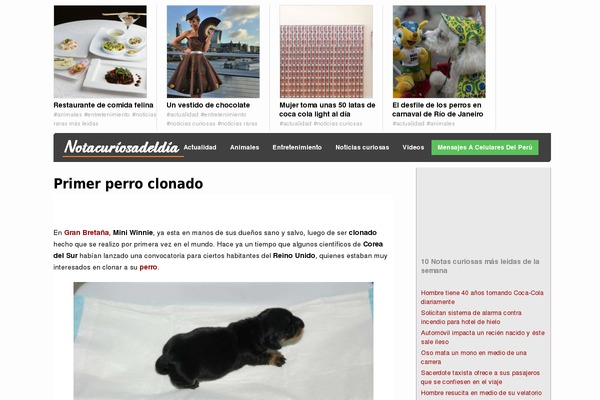 notacuriosadeldia.com site used Hackerwp