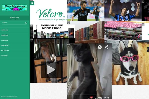 Wp-velcro theme site design template sample