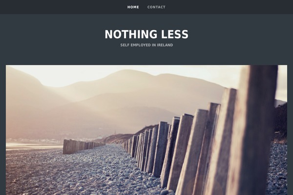 Pocket theme site design template sample
