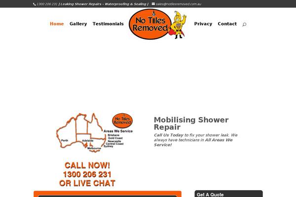 Divi Child theme site design template sample