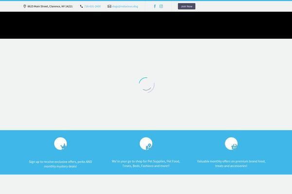 Thegem-child-user-icons theme site design template sample