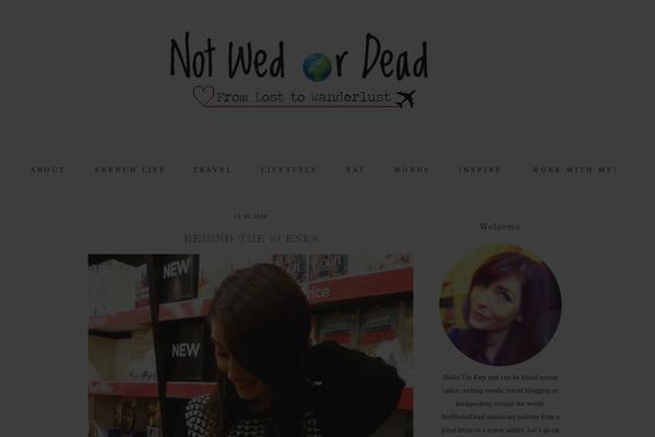 vintageclean theme websites examples