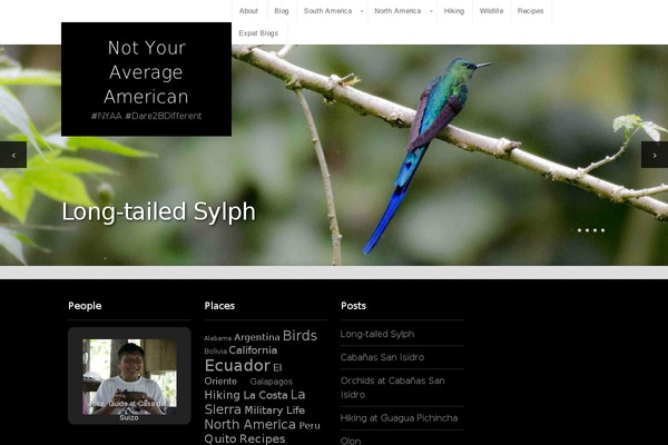 Extra theme site design template sample