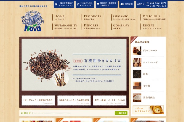 Nova theme site design template sample