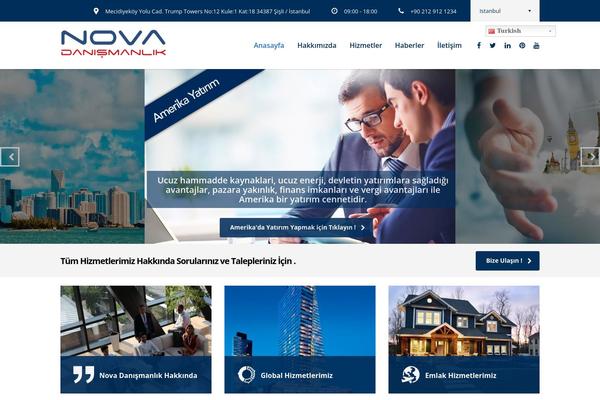 Consulting theme site design template sample