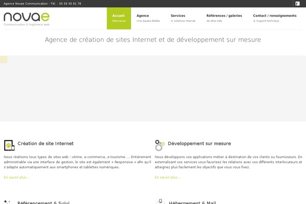 Salient theme site design template sample