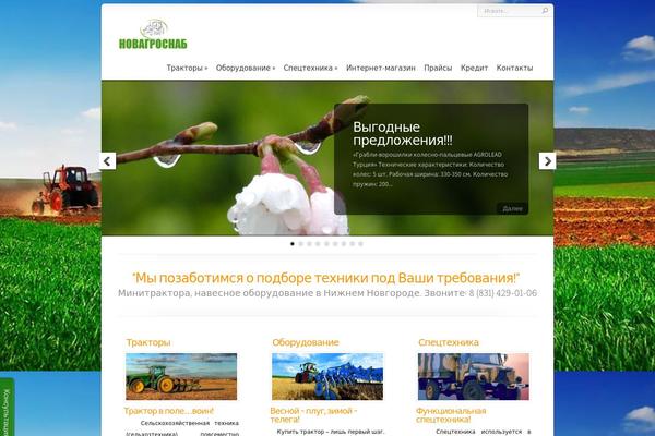 Chameleon theme site design template sample