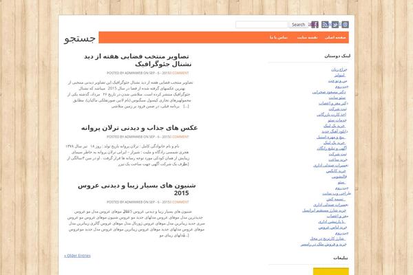 Delphi theme site design template sample