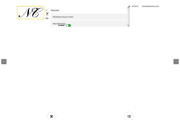 Richer theme site design template sample