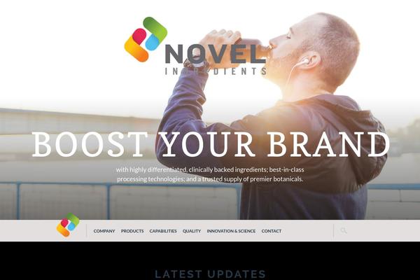 Novel theme site design template sample