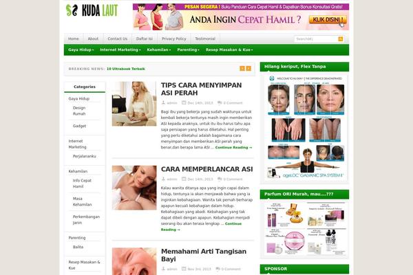 Resizable theme site design template sample