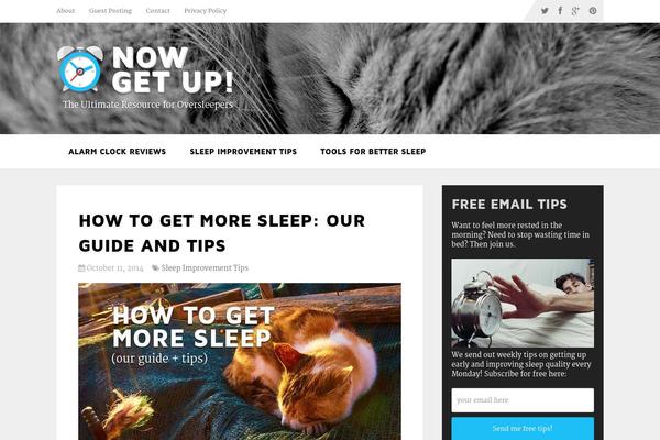 Schema theme site design template sample