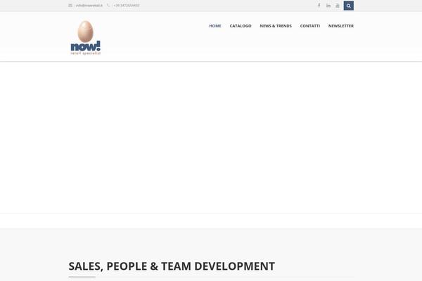Sarraty theme site design template sample