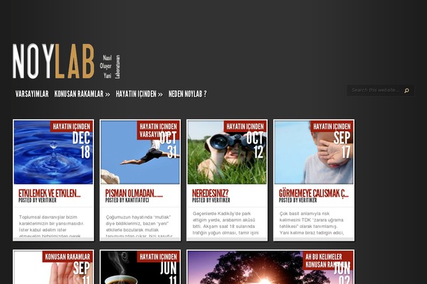 TheStyle theme site design template sample