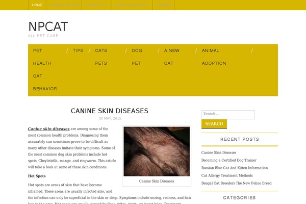 Fashionistas theme site design template sample