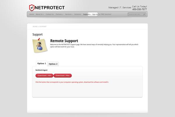 TheProfessional theme site design template sample